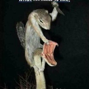 Meet your Posher, Roberto